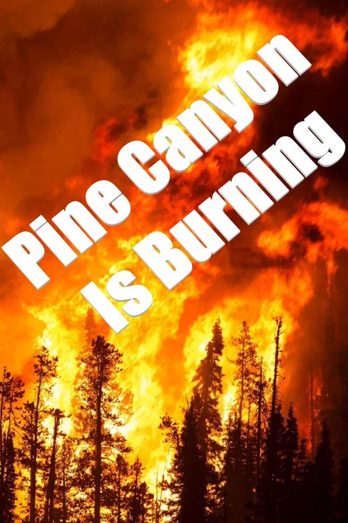 Pine Canyon Is Burning постер