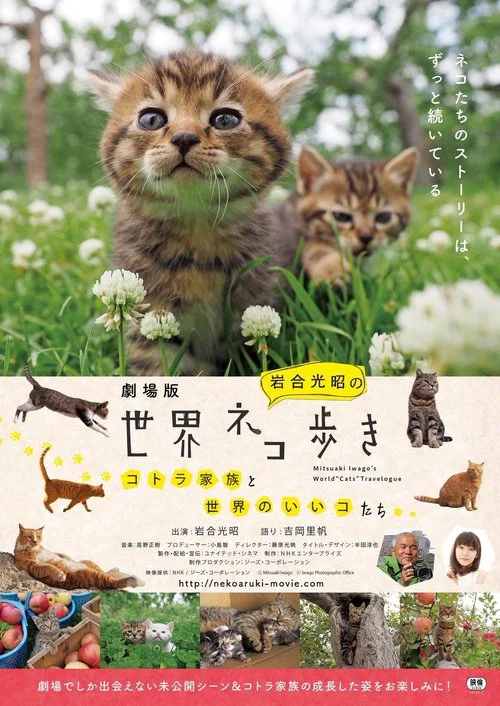 岩合光昭の世界ネコ歩き постер