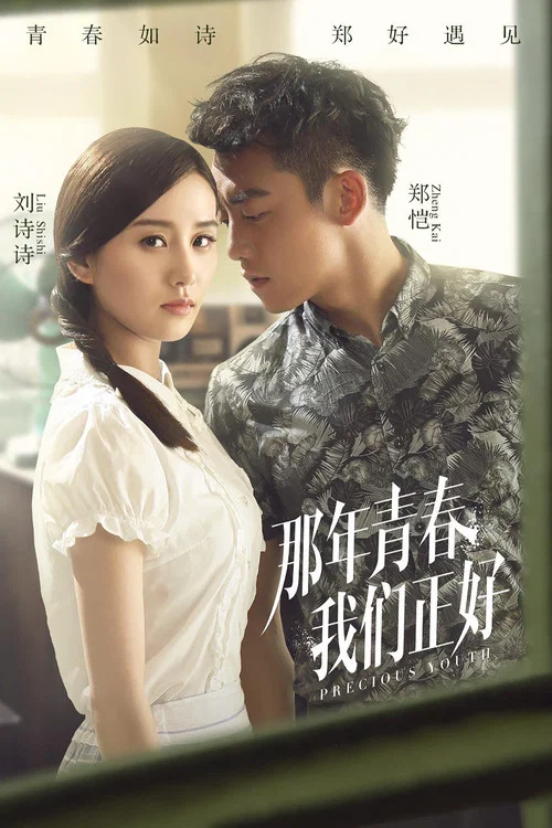 那年青春我们正好 постер