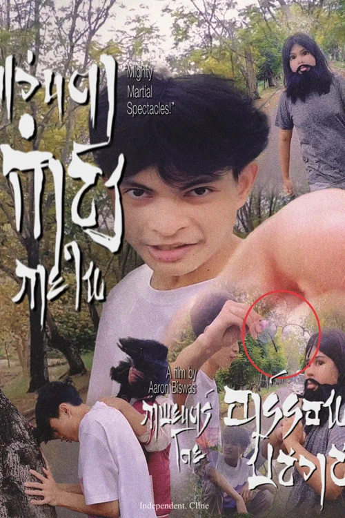 แว่นตากำลังภายใน постер