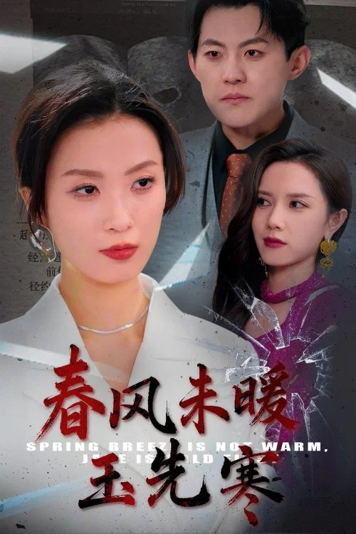春风未暖玉先寒 постер