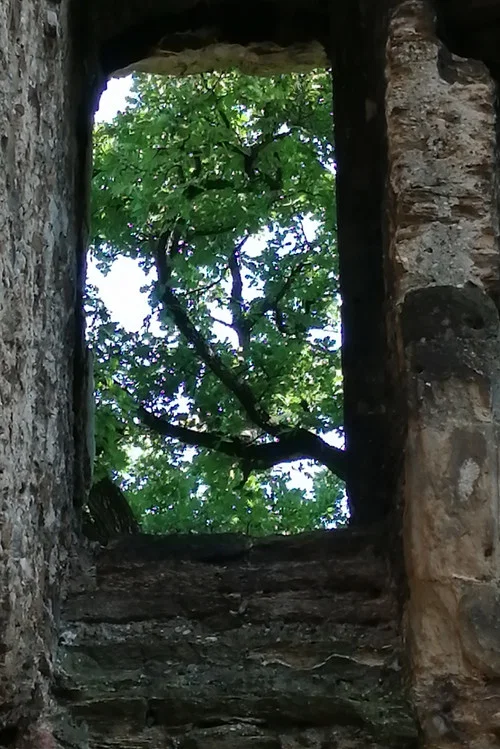 Les ruines du château de Seyssuel постер