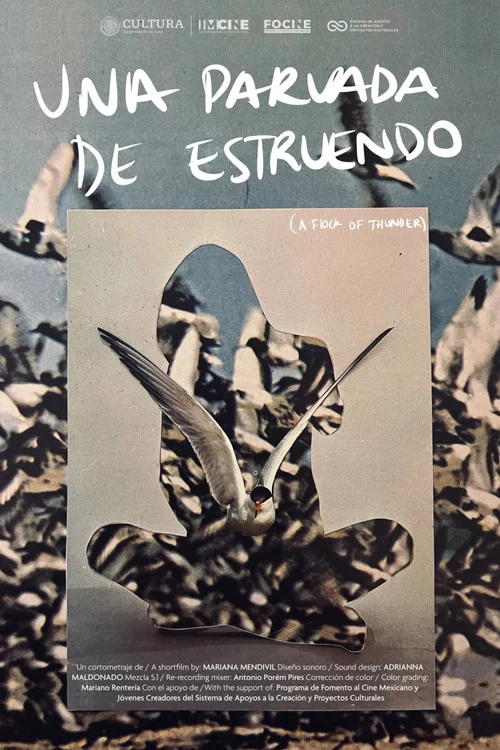 Una parvada de estruendo постер