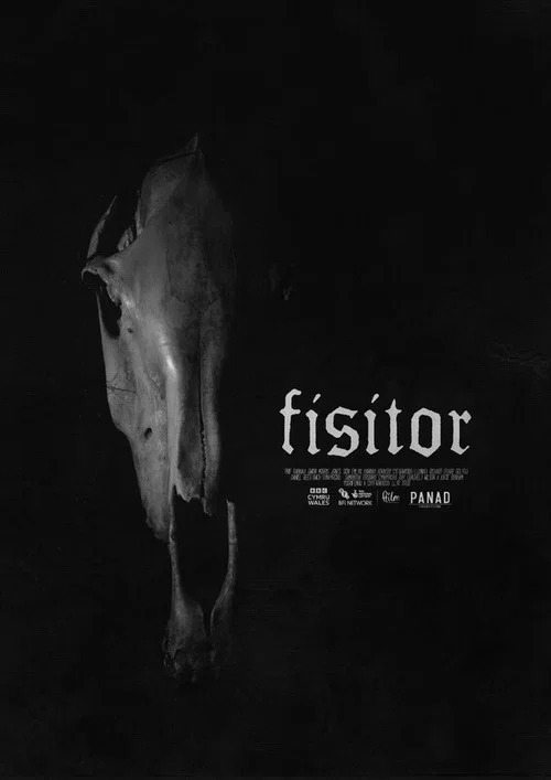 Fisitor постер