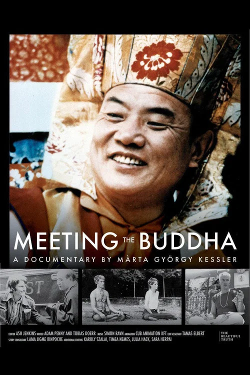 Meeting the Buddha постер