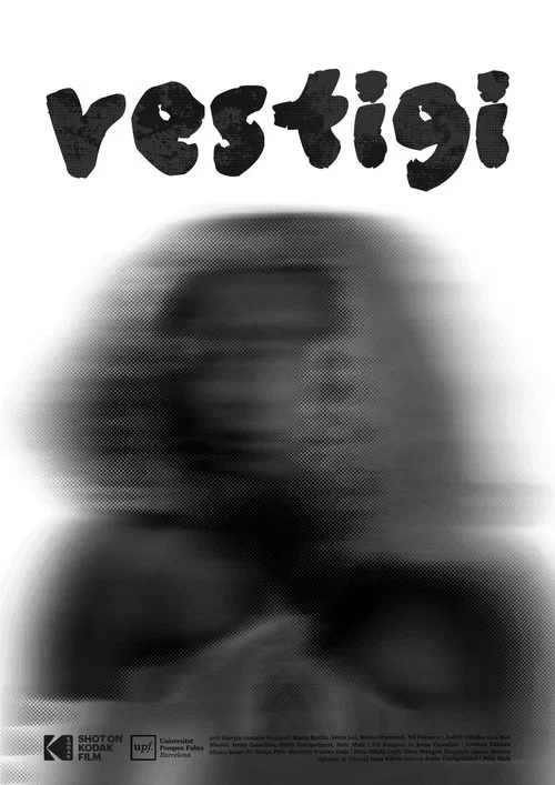 Vestigi постер