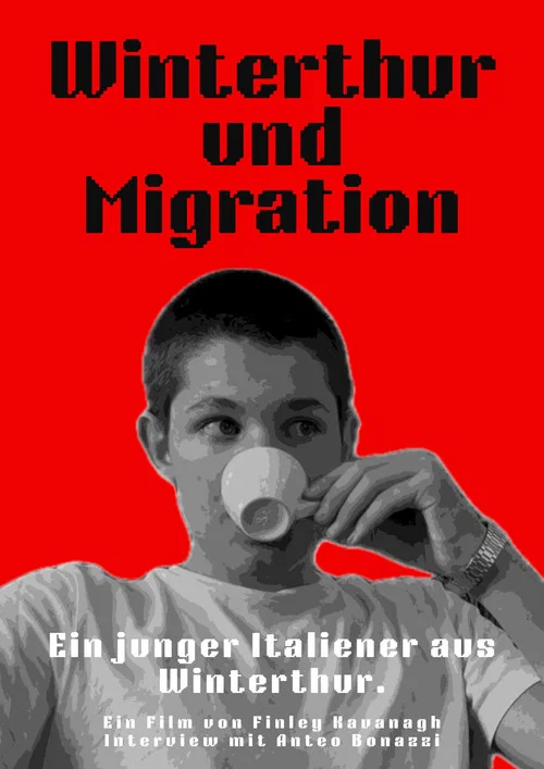Winterthur und Migration постер