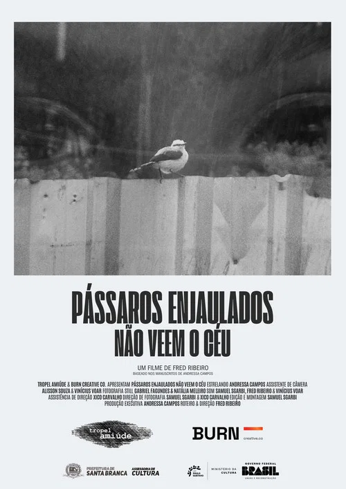 Pássaros Enjaulados Não Veem o Céu постер