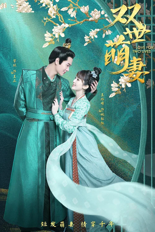 双世萌妻 постер