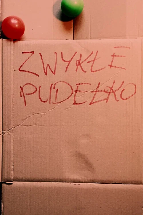 ZWYKŁE PUDEŁKO постер