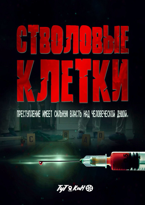 Stem Cell постер