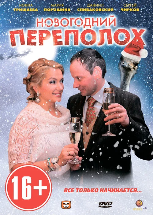 Новогодний переполох постер