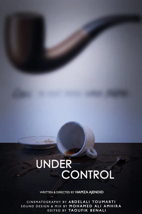 Under Control постер
