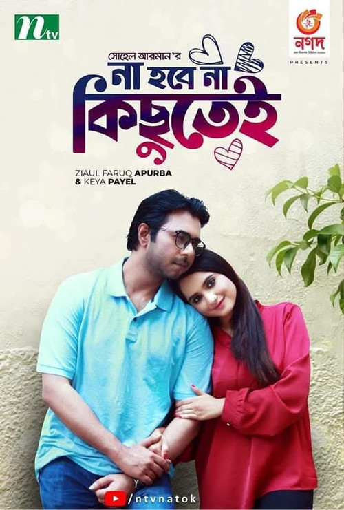 না হবে না কিছুতেই постер