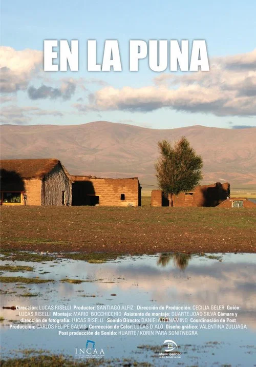 En la Puna постер