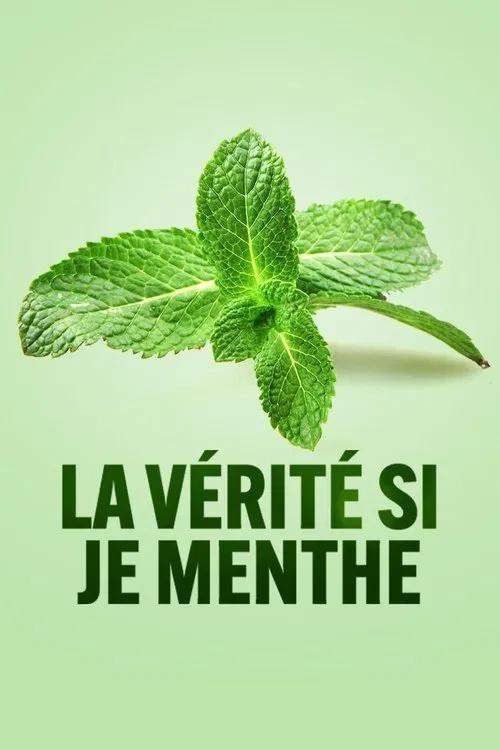 La vérité si je menthe постер