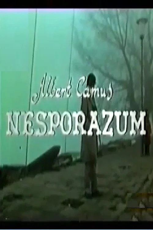 Nesporazum постер