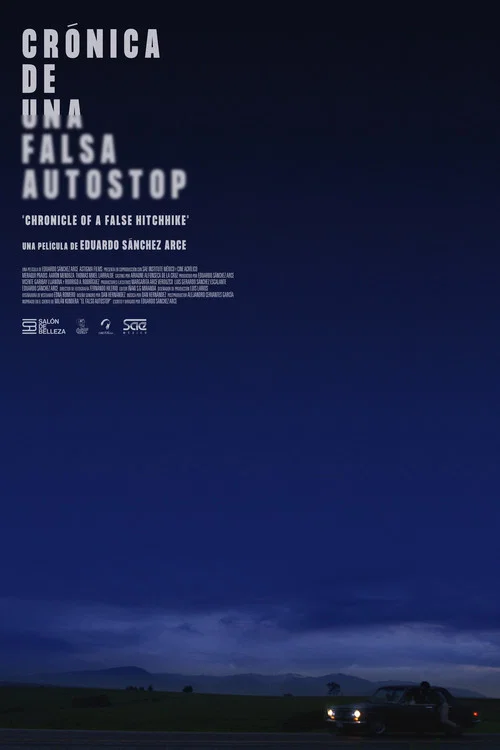 Crónica de una Falsa Autostop постер