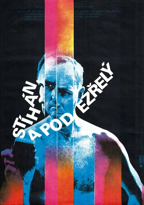 Stíhán a podezřelý постер