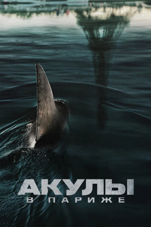 Акулы в Париже постер