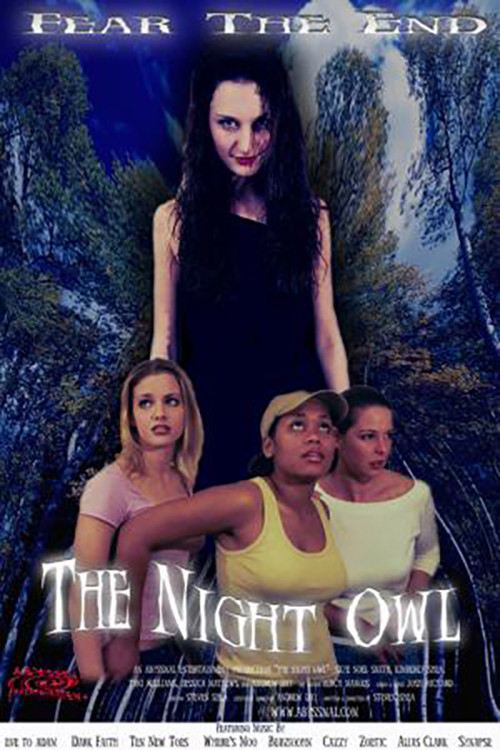 The Night Owl постер