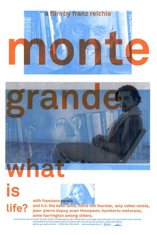 Monte Grande: What is Life? постер