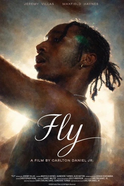 Fly постер