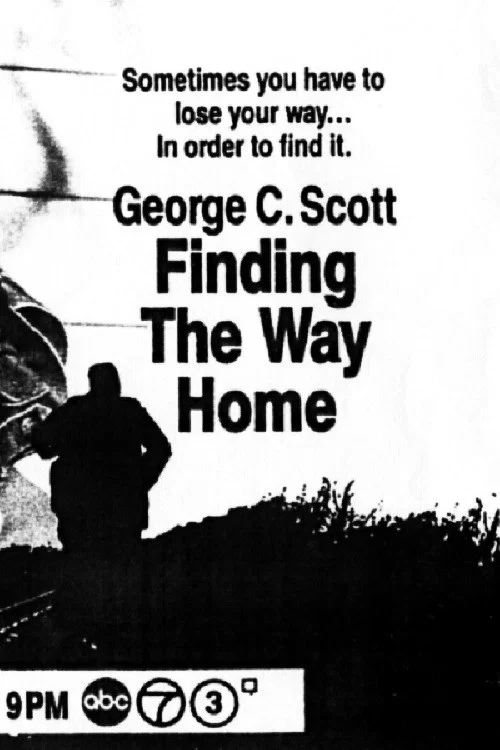 Finding the Way Home постер