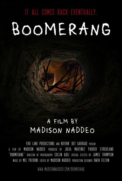 Boomerang постер