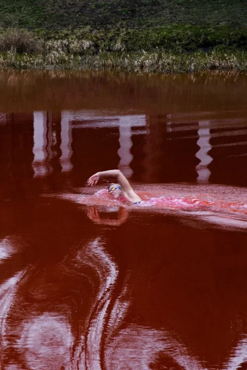 Swimming Through постер
