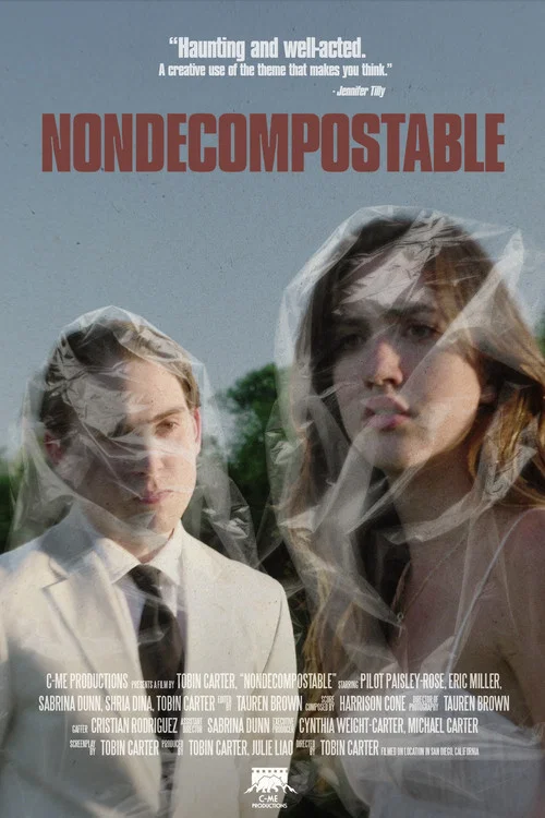 Nondecomposable постер