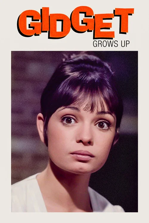 Gidget Grows Up постер