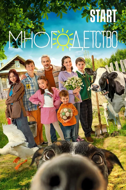 Многодетство постер