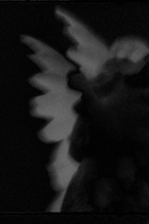 Gradations I-II постер