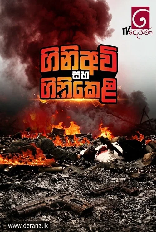 ගිනි අවි සහ ගිනි කෙළි постер