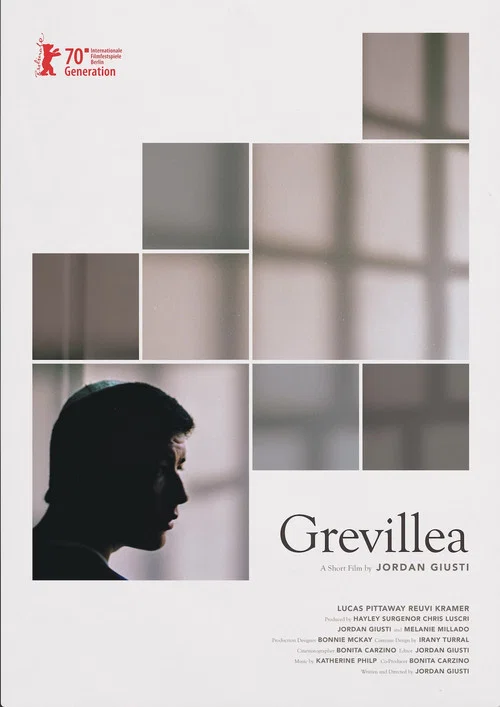 Grevillea постер