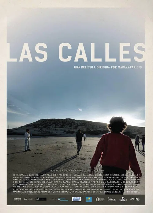 Las calles постер