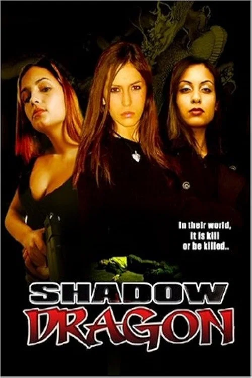 Shadow Dragon постер