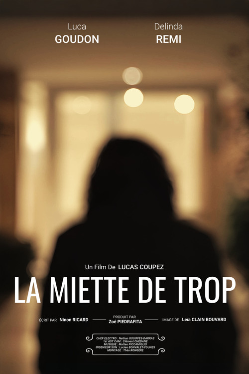 La Miette De Trop постер