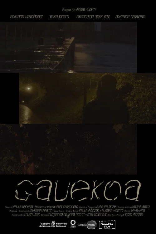 Gauekoa постер