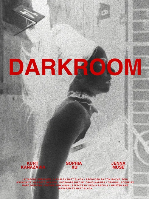 Darkroom постер