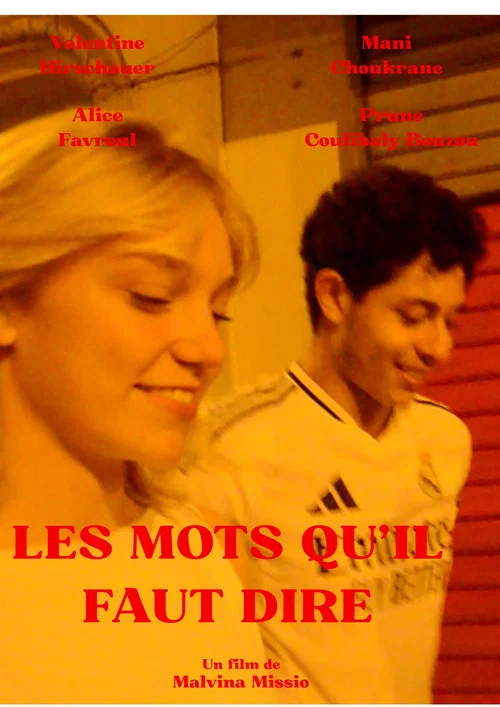 Les mots qu'il faut dire постер