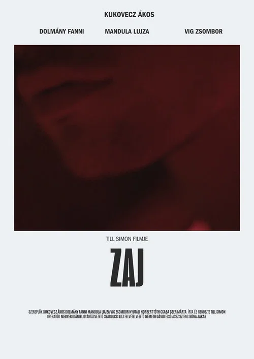 Zaj постер