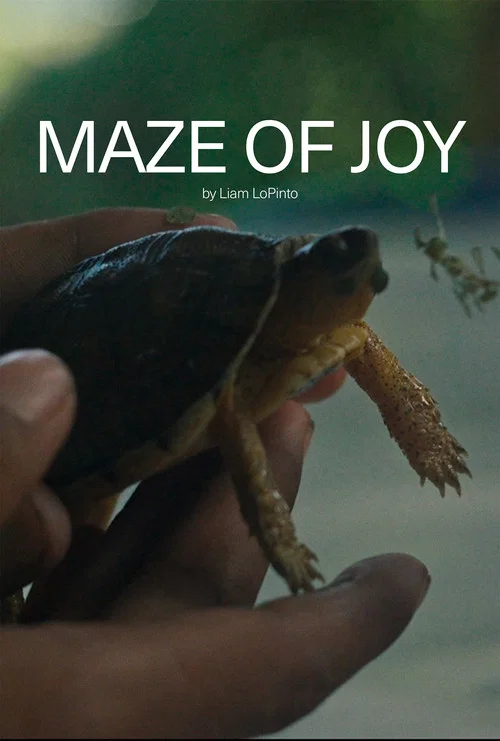 Maze of Joy постер