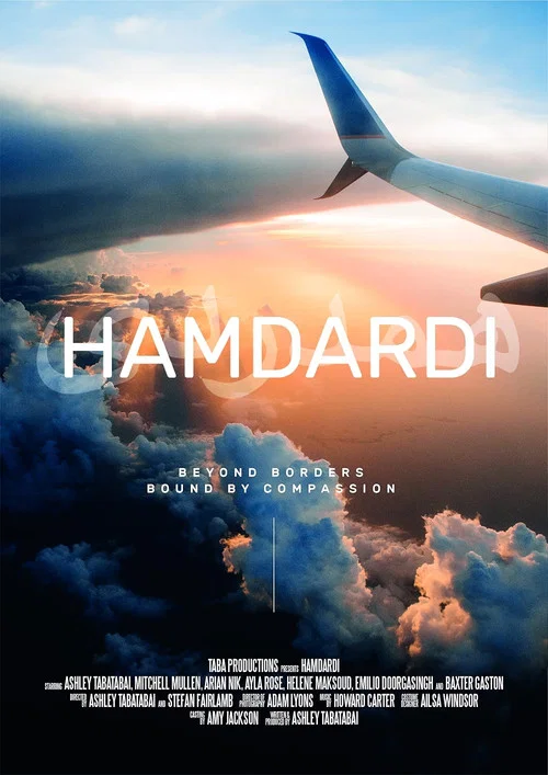 Hamdardi постер