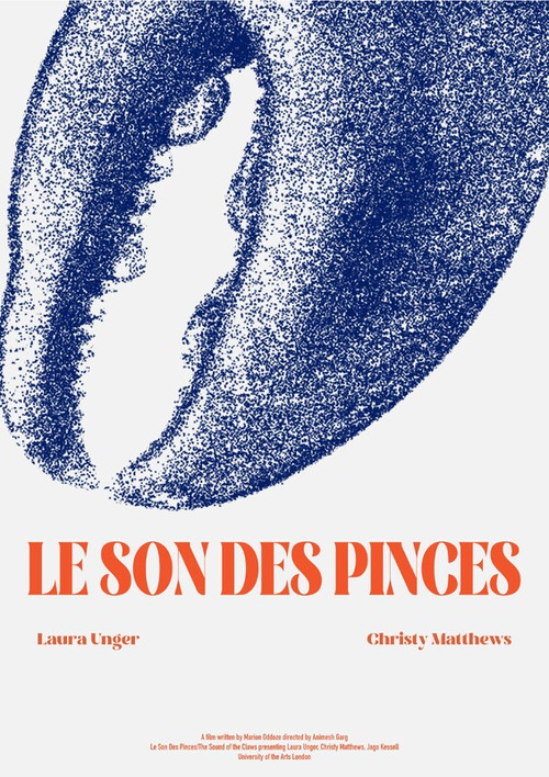 Le Son des Pinces постер