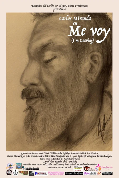 Me voy постер