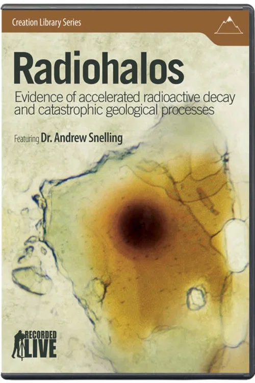 Radiohalos постер