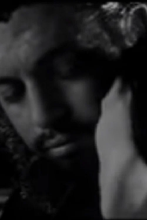Meeting Che Guevara & the Man from Maybury Hill постер