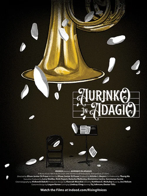 Aurinko in Adagio постер